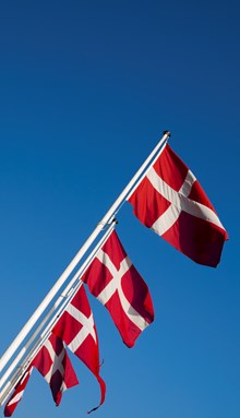 Danish flags (for 5.5 m flagpole)